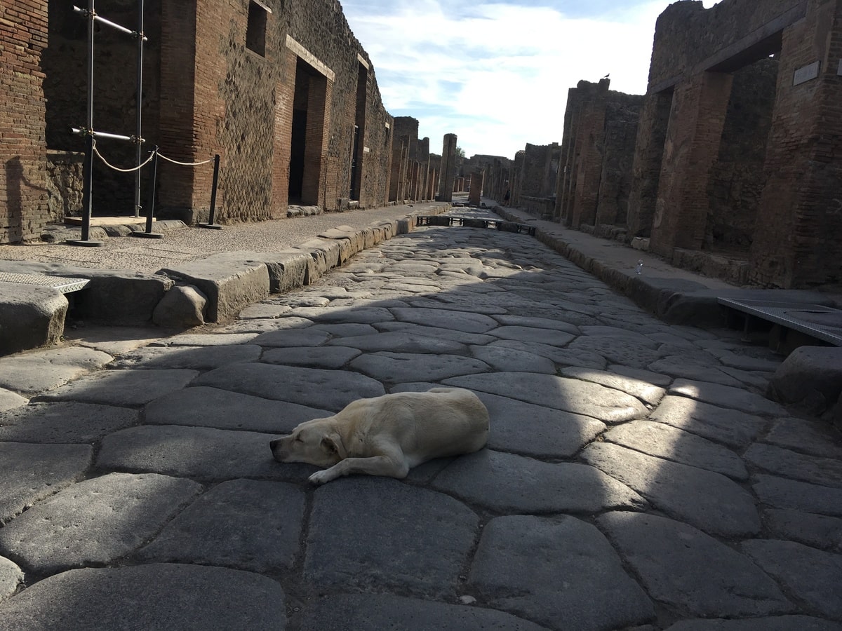 Ruines de Pompéi dans le sud de l'Italie dans notre article Visiter l'Italie du sud : 10 expériences uniques d'un itinéraire dans le sud de l'Italie #italie #suditalie #europe #voyage