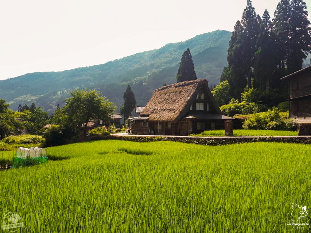 Maison au toit de chaume du village Gassho à Ainokura dans notre article Alpes japonaises : road trip au Japon dans les montagnes de l’île de Honshū #japon #alpes #alpesjaponaises #roadtrip #asie #voyage #honshu