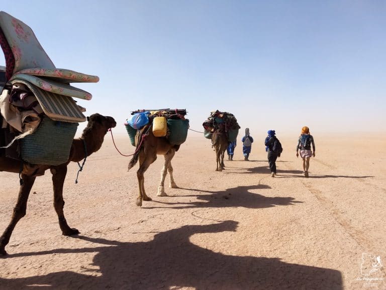 Trek dans le désert du Maroc : Ma randonnée de 5 jours dans le désert du Sahara #desert #maroc #sahara #randonnee #trek #voyage