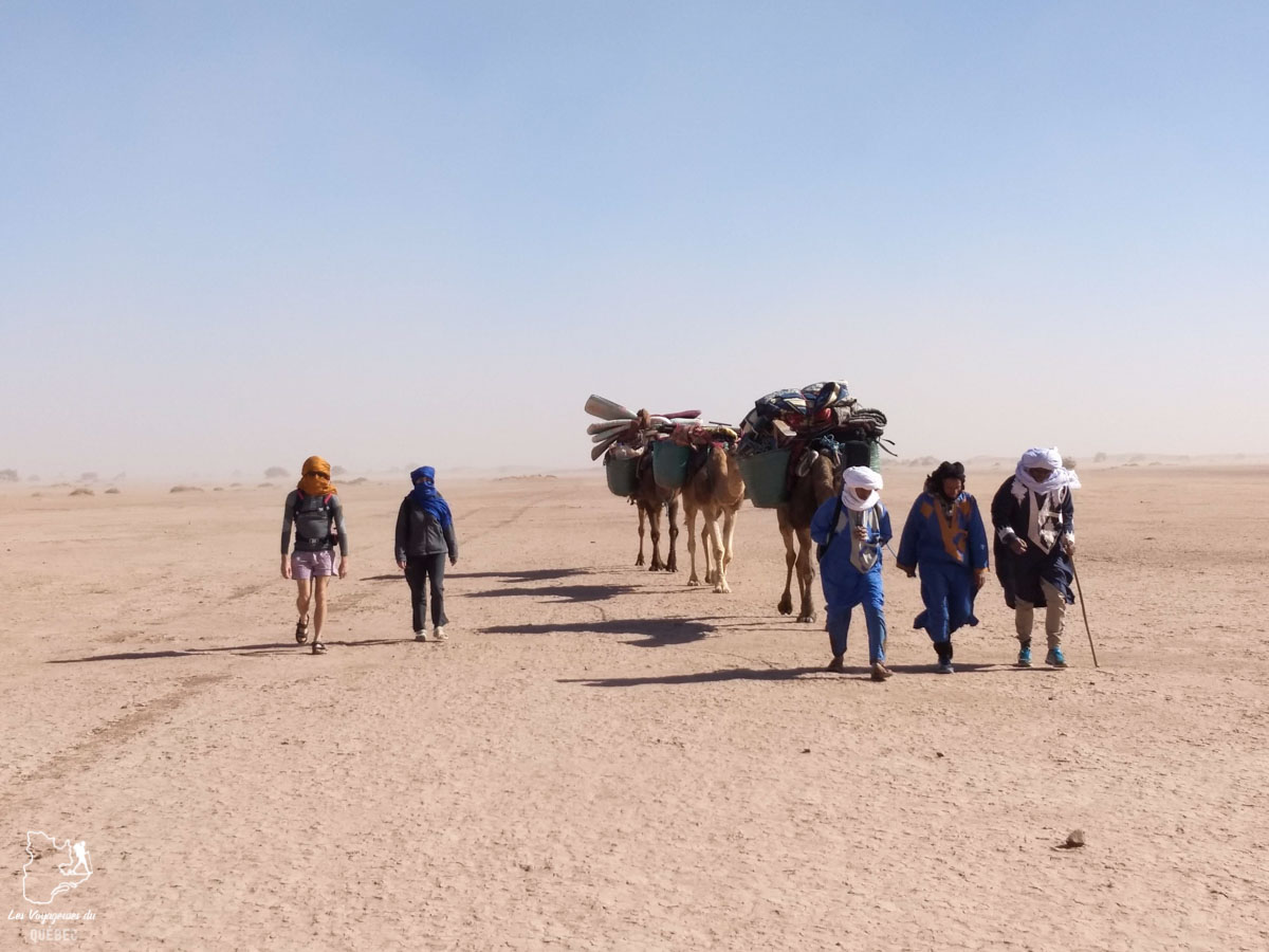 Trek à dromadaire dans le désert du Sahara au Maroc dans notre article Trek dans le désert du Maroc : Ma randonnée de 5 jours dans le désert du Sahara #desert #maroc #sahara #randonnee #trek #voyage