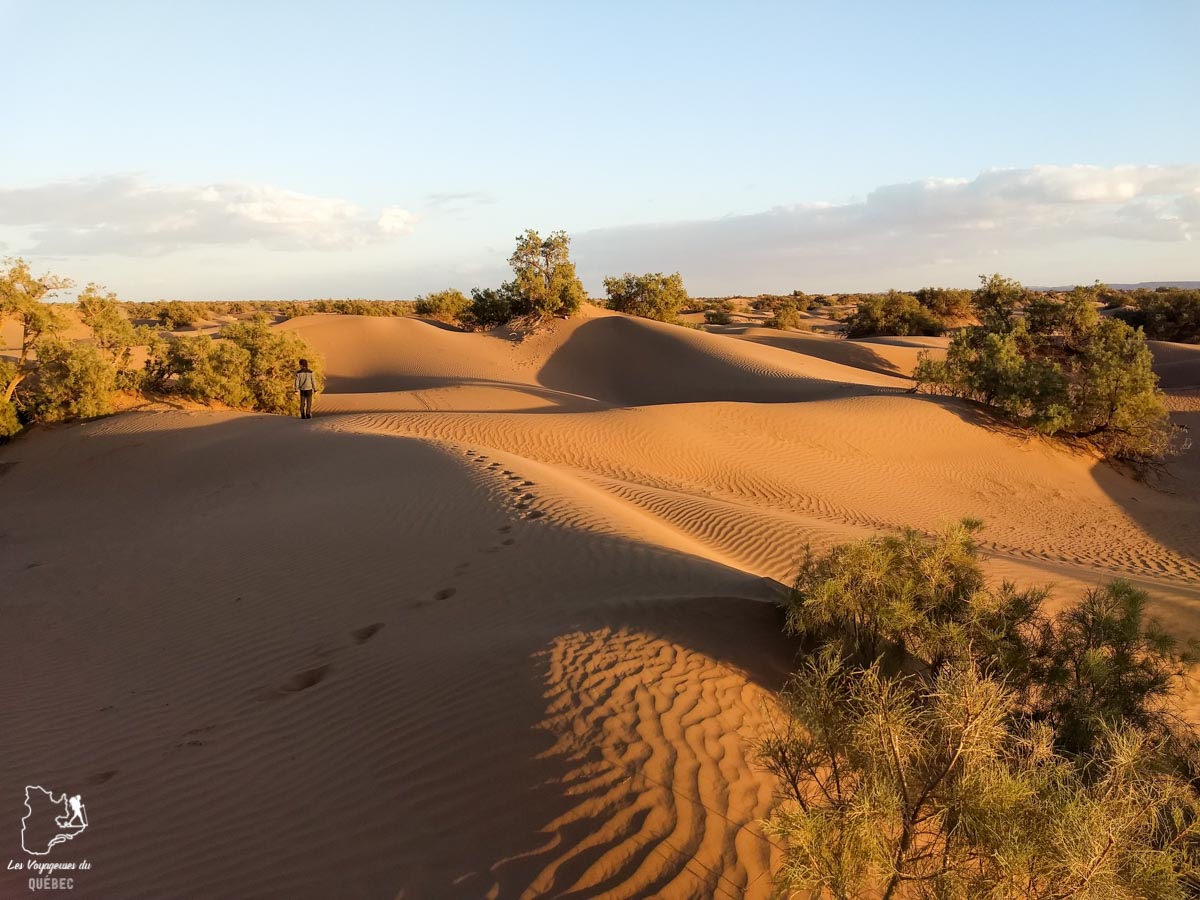 Coucher de soleil sur les Dunes hurlantes dans le Sahara au Maroc dans notre article Trek dans le désert du Maroc : Ma randonnée de 5 jours dans le désert du Sahara #desert #maroc #sahara #randonnee #trek #voyage
