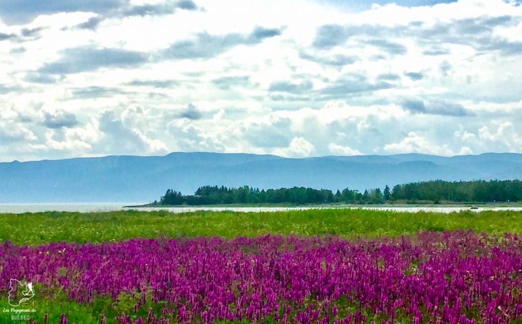 Visiter Charlevoix au Québec: Quoi faire dans Charlevoix entre fleuve et montagnes #charlevoix #quebec #voyage #canada