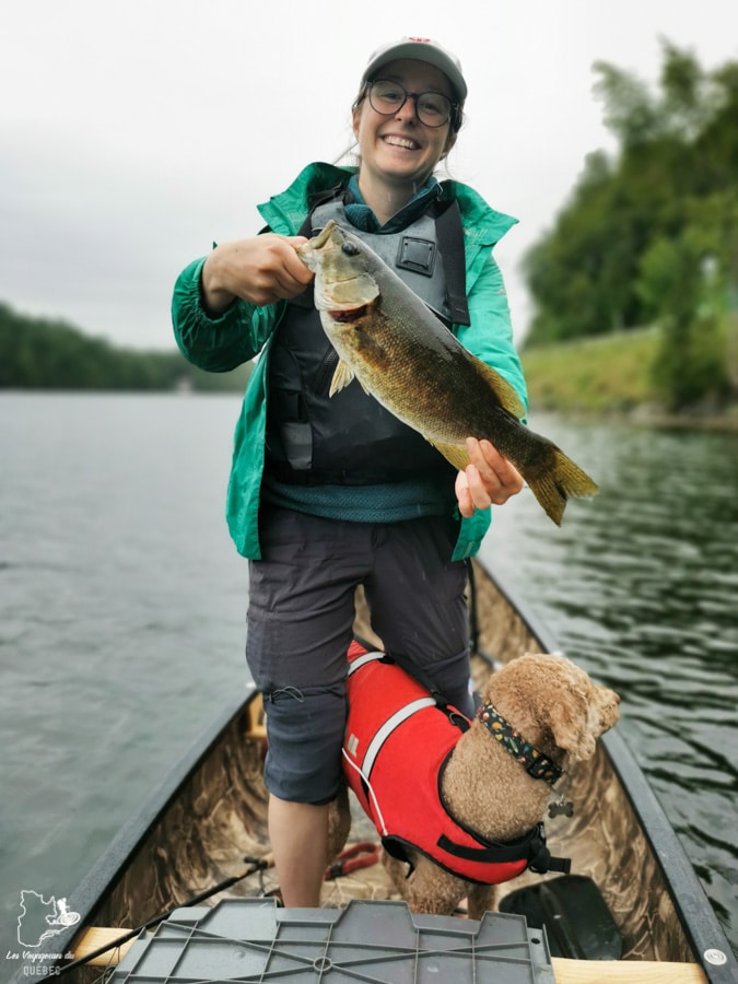 Pêche à l'achigan sur le Lac Massawippi dans notre article Quoi faire en Estrie avec son chien : mon itinéraire pour visiter l’Estrie avec Pitou #estrie #cantonsdelest #quebec #bonjourquebec #canada #chien #roadtrip