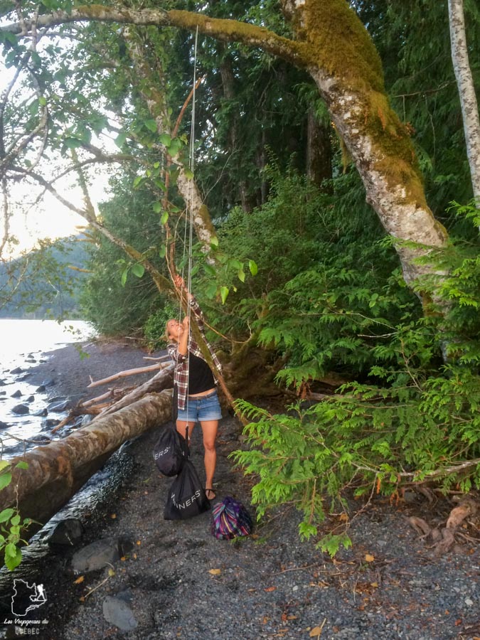 Nourriture dans les arbres lors du camping sauvage dans notre article Voyage en auto-stop : De l’Alaska à la Californie sur le pouce, une aventure humaine #autostop #pouce #voyage #usa #canada