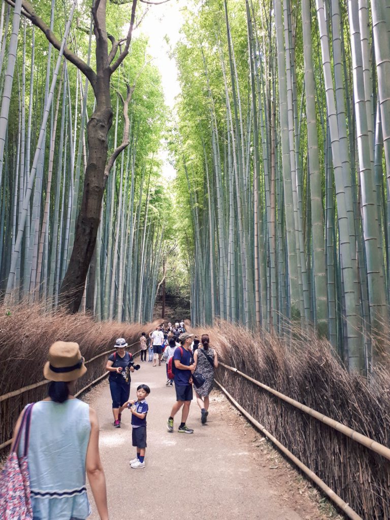 La forêt de bambous, bambouseraie d’Arashiyama, à Kyoto dans notre article Visiter le Japon en 8 incontournables : que faire lors d’un voyage de 4 semaines #japon #voyage #asie