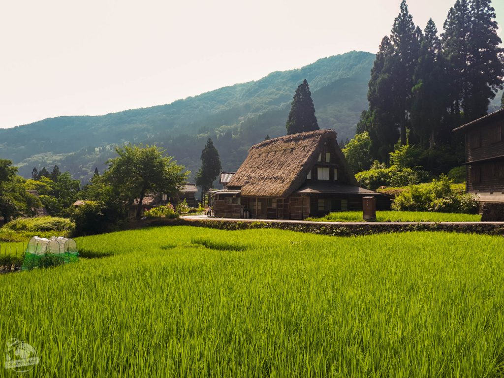 Maison Gasshô à Ainokura dans les Alpes japonaises dans notre article Visiter le Japon en 8 incontournables : que faire lors d’un voyage de 4 semaines #japon #voyage #asie