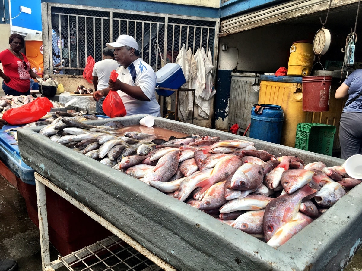 Mercado Marisco Pescado, le marché aux poissons de Panama City dans notre article Visiter Panamá City au Panamá : que faire à Panamá City en 10 incontournables #panamacity #panama #ameriquecentrale #voyage