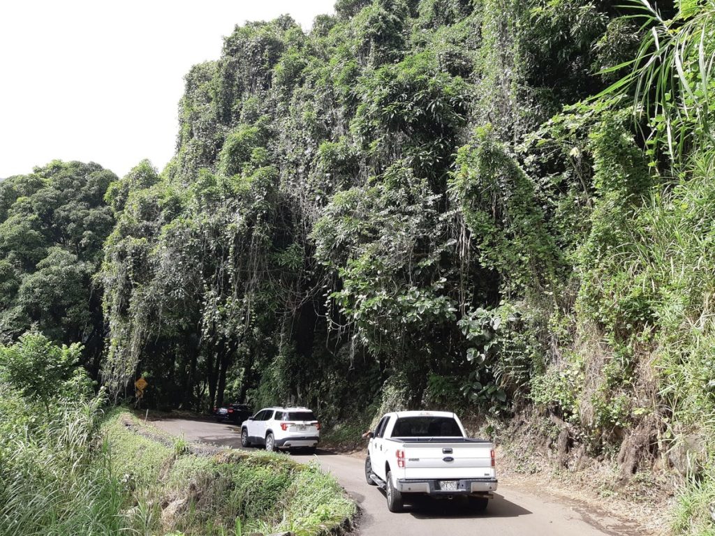 Hana Highway sur l'île de Maui dans notre article L'île de Maui à Hawaii : quoi faire à Maui et visiter en 9 activités et incontournables #maui #hawaii #voyage #usa #ile