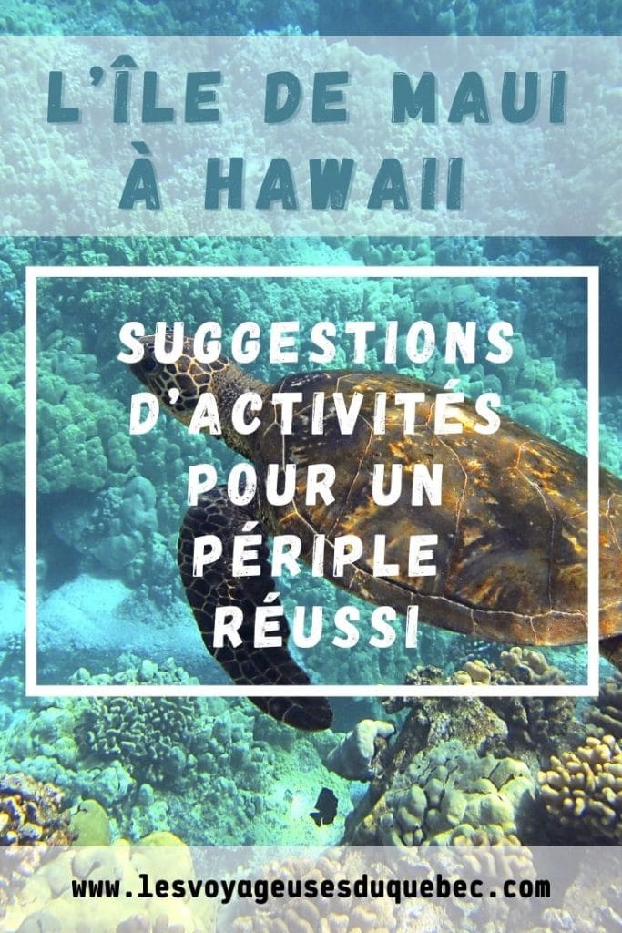 L'île de Maui à Hawaii : quoi faire à Maui et visiter en 9 activités et incontournables #maui #hawaii #voyage #usa #ile