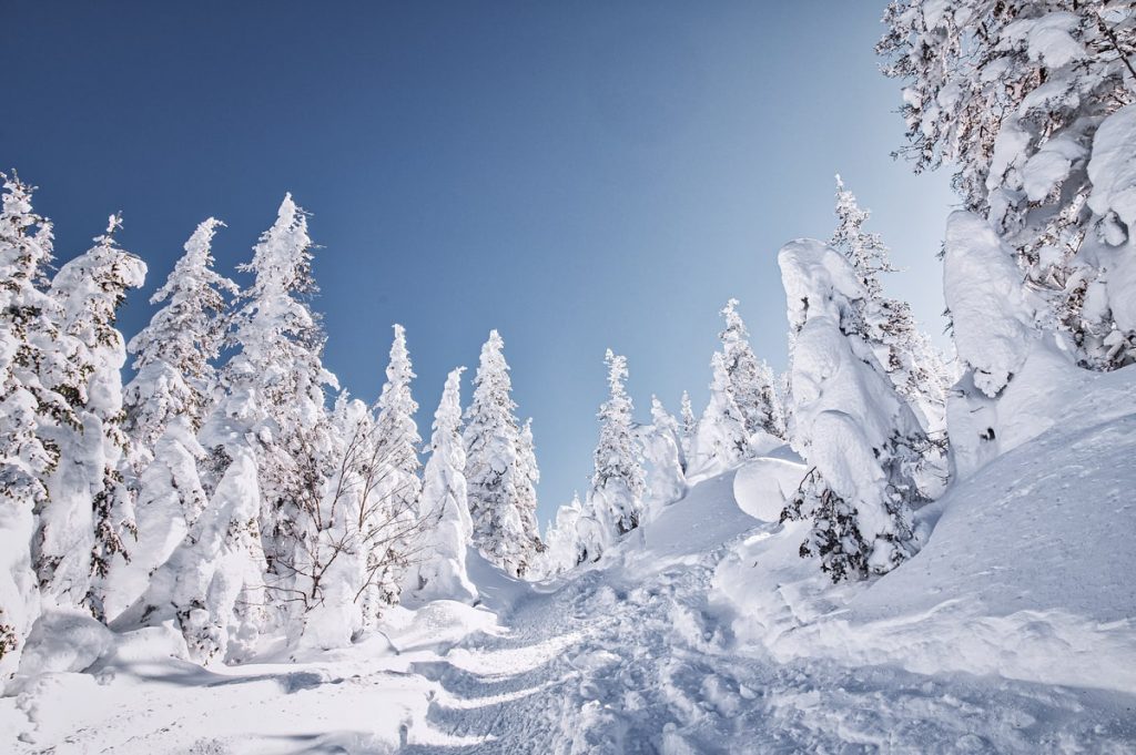 Vallée des fantômes du Parc national des Monts-Valin à découvrir lors d'une randonnée en hiver #sepaq #randonnee #montsvalin #valleedesfantomes #saguenay #quebec #hiver