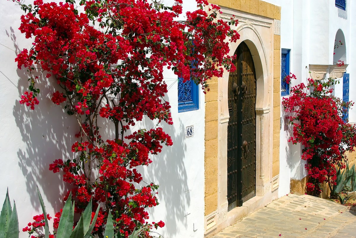 Village de Sidi Bou Saïd en Tunisie dans notre article Que faire en Tunisie et où aller : Mon voyage en Tunisie en 12 incontournables à visiter #tunisie #voyage #afrique #maghreb #sidibousaid