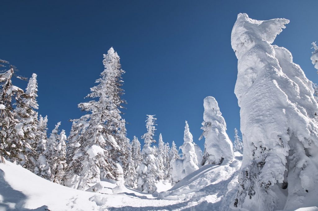Arbres remplis de neige de la Vallée des fantômes au Parc national des Monts-Valin dans notre article Vallée des fantômes du Parc national des Monts-Valin à découvrir lors d'une randonnée en hiver #sepaq #randonnee #montsvalin #valleedesfantomes #saguenay #quebec #hiver