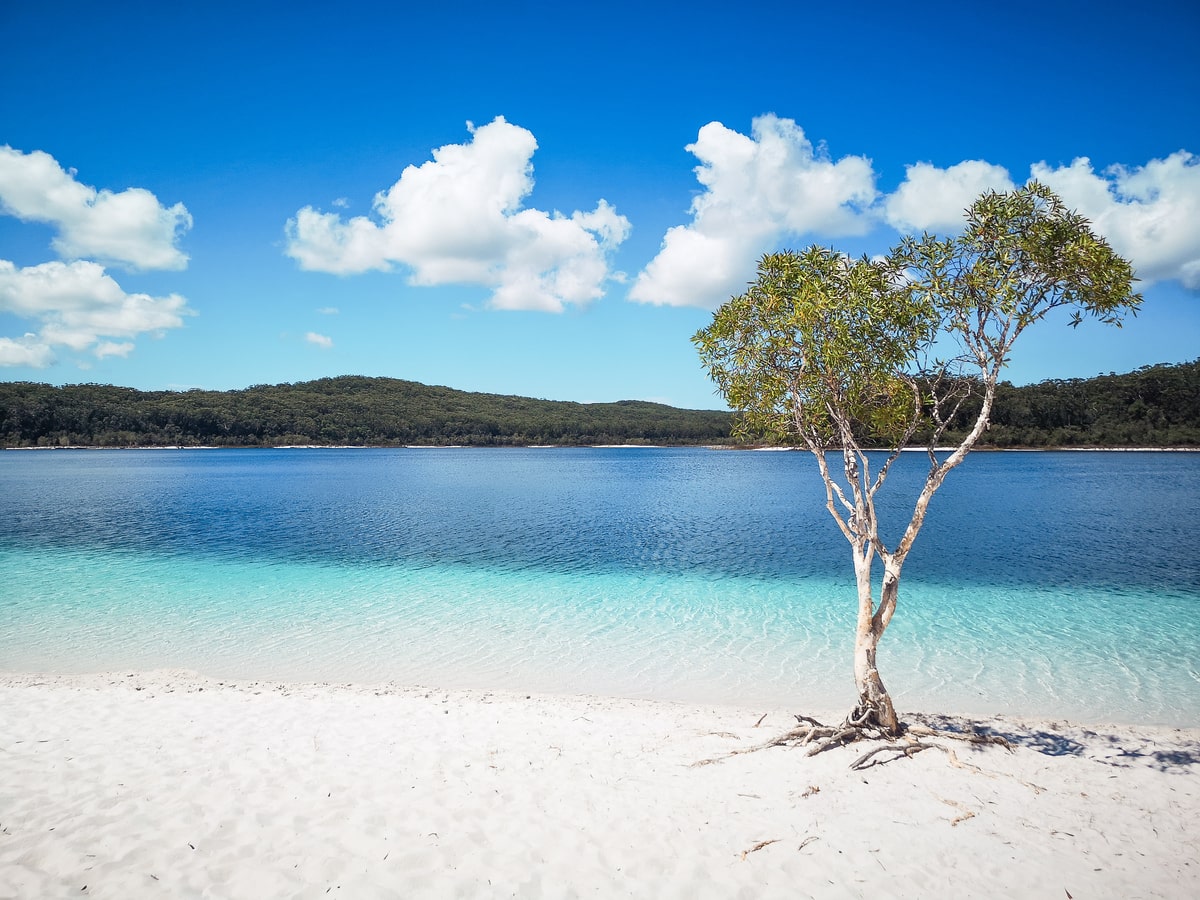 Paysage Fraser Island en Australie dans notre article Que voir en Australie et visiter : 12 incontournables de mon voyage en Australie #australie #oceanie #voyage