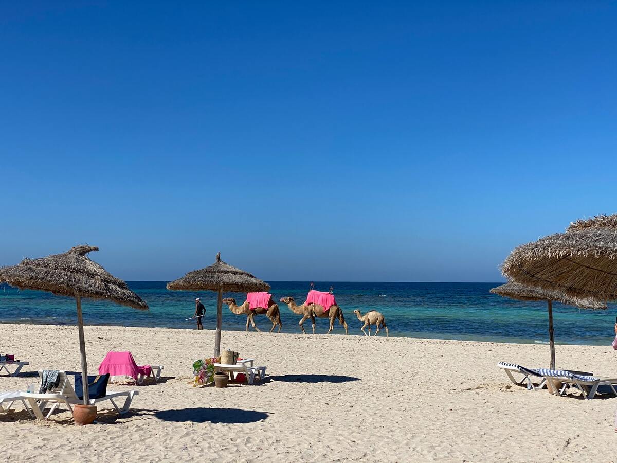 Île de Djerba en Tunisie dans notre article Que faire en Tunisie et où aller : Mon voyage en Tunisie en 12 incontournables à visiter #tunisie #voyage #afrique #maghreb #djerba