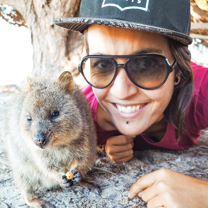 Quokka sur Rottnest Island en Australie dans notre article Que voir en Australie et visiter : 12 incontournables de mon voyage en Australie #australie #oceanie #voyage