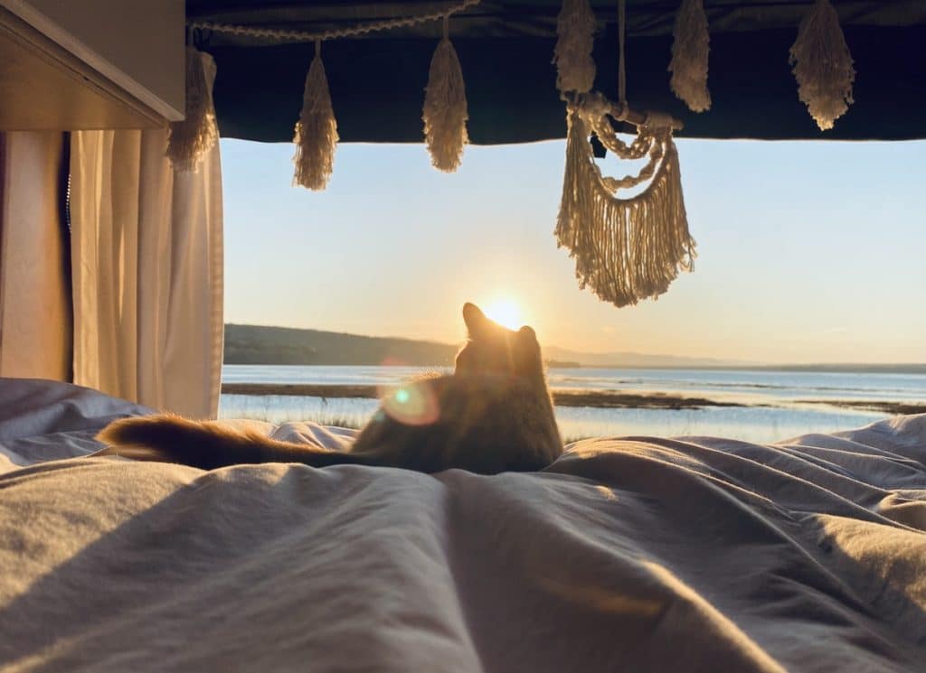 Siméon contemple un coucher de soleil dans notre article La vanlife : Elle quitte tout pour voyager et vivre en van avec son chat #vanlife #vivreenvan #voyagerenvan #livinginavan #travellifestyle