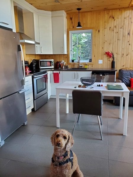 Chalet Esker Nature, hébergement où les chiens sont admis dans notre article Visiter Chaudière-Appalaches avec son chien : itinéraire gourmand et nature #chaudiereappalaches #quebec #canada #chien #voyage