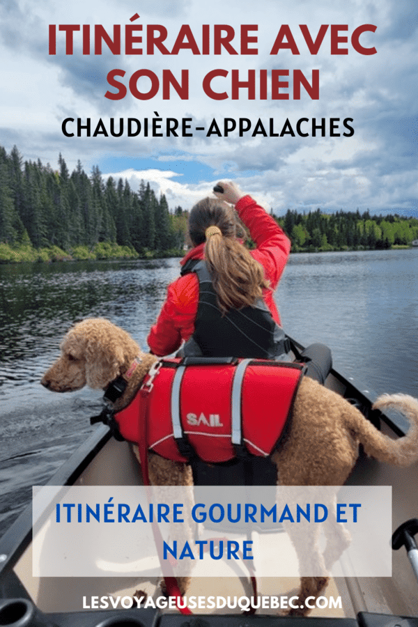 Visiter Chaudière-Appalaches avec son chien : itinéraire gourmand et nature #chaudiereappalaches #quebec #canada #chien #voyage