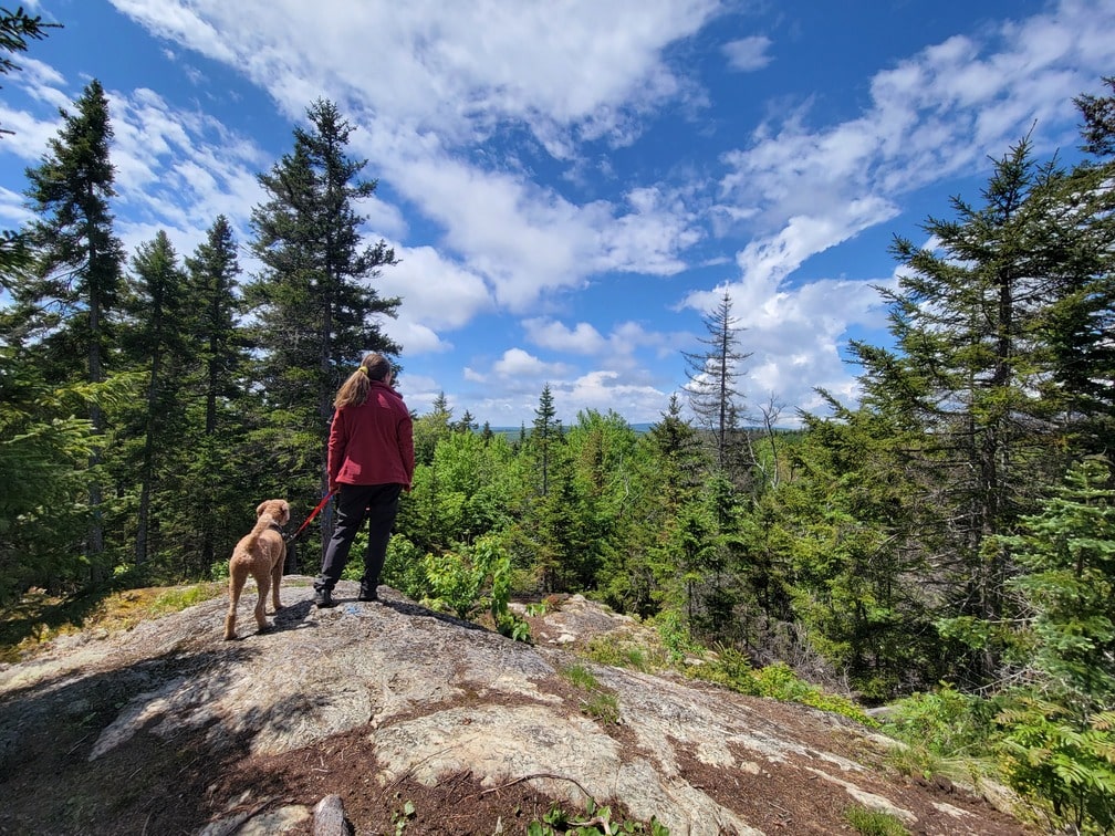 Randonnée avec son chien dans le Parc des Appalaches dans notre article Visiter Chaudière-Appalaches avec son chien : itinéraire gourmand et nature #chaudiereappalaches #quebec #canada #chien #voyage