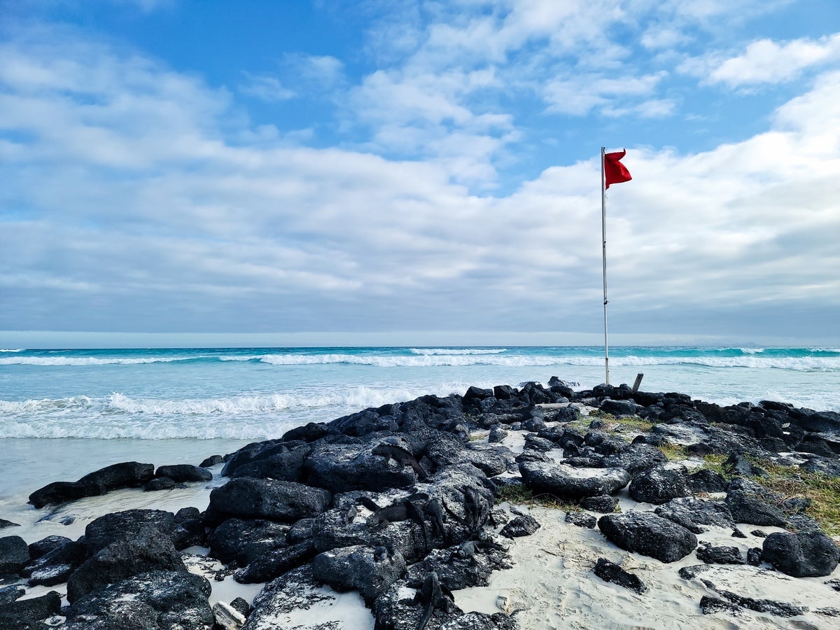 Tortuga Bay sur l'île de Santa Cruz dans notre article Visiter les Galapagos : Le plus beau à voir des îles Galapagos en Équateur #galapagos #ilesgalapagos #equateur #voyage