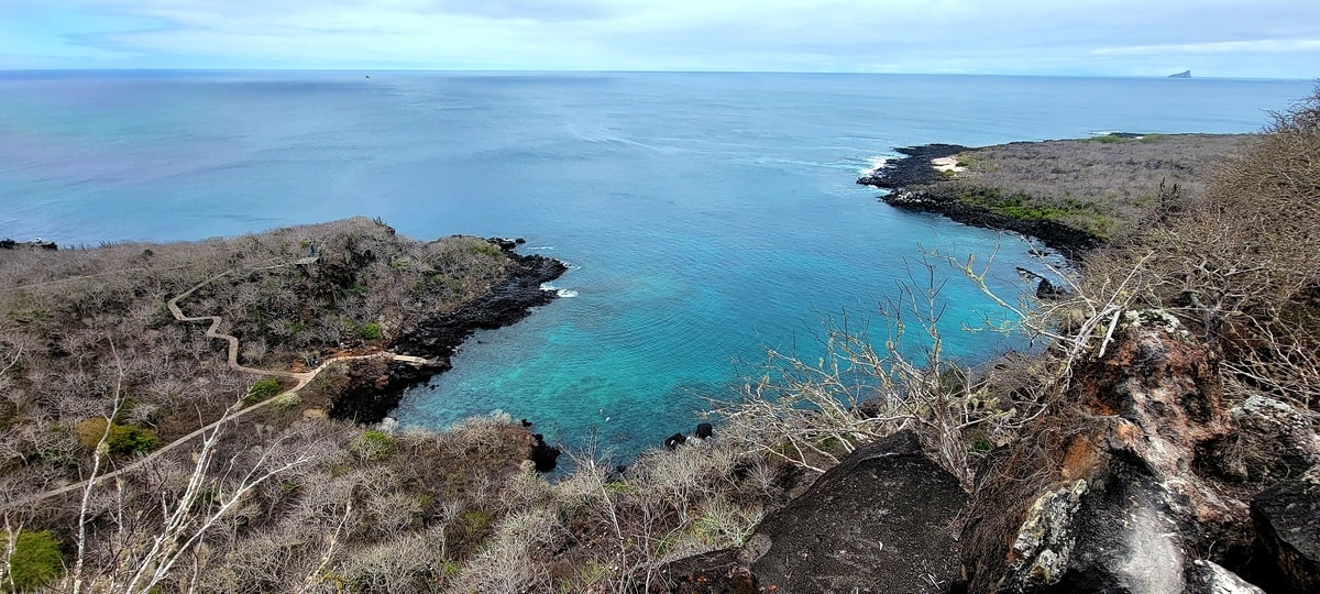 Tijeretas sur l'île de San Cristobal dans notre article Visiter les Galapagos : Le plus beau à voir des îles Galapagos en Équateur #galapagos #ilesgalapagos #equateur #voyage