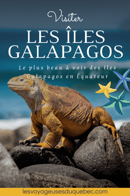  Visiter les Galapagos : Le plus beau à voir des îles Galapagos en Équateur #galapagos #ilesgalapagos #equateur #voyage