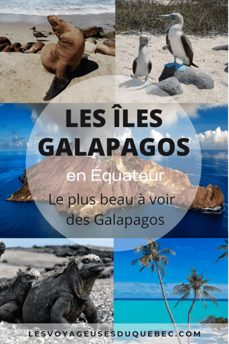  Visiter les Galapagos : Le plus beau à voir des îles Galapagos en Équateur #galapagos #ilesgalapagos #equateur #voyage