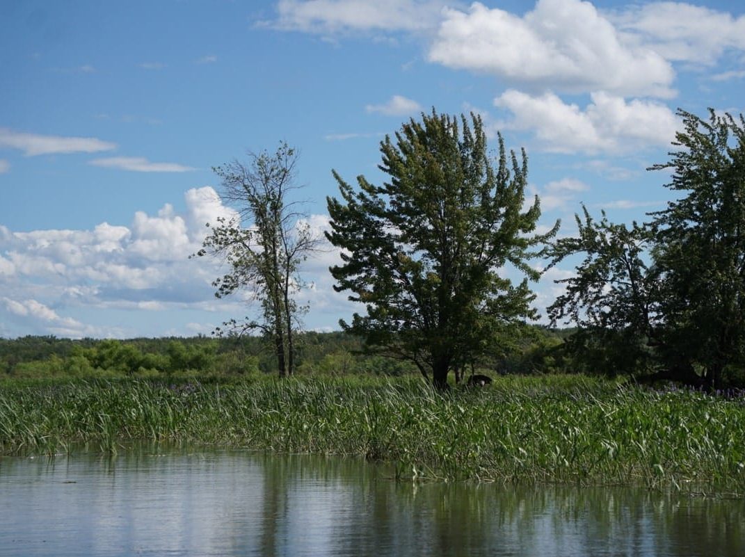Archipel du Lac-Saint-Pierre dans notre article Découvrir la région de Sorel-Tracy en Montérégie : mes activités et bonnes adresses #soreltracy #sorel #monteregie #regionsoreltracy #quebec #canada