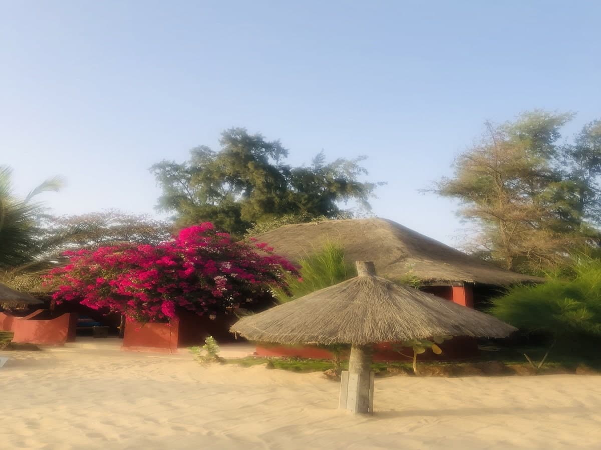 Royal Horizon Baobab dans notre article Trek Rose Trip au Sénégal : beau défi de randonnée entre femmes dans le désert #rosetriptrek #rosetrip #trekinsenegal #womenstrek #orientationtrek