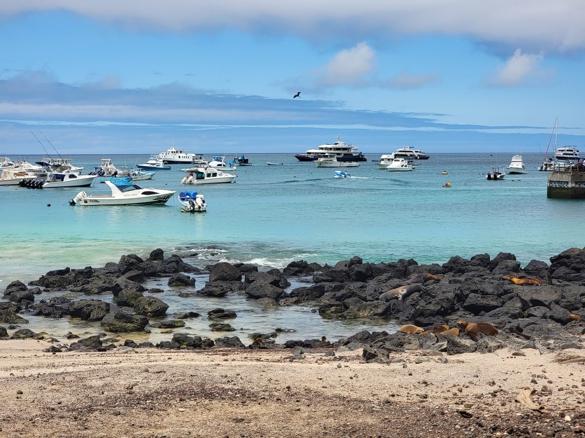 Eau turquoise de l'archipel des Galapagos dans notre article Voyage aux Galápagos : Comment organiser un voyage dans l'Archipel des Galápagos #Galapagos #Equateur #VoyageGalapagos #ArchipelGalapagos