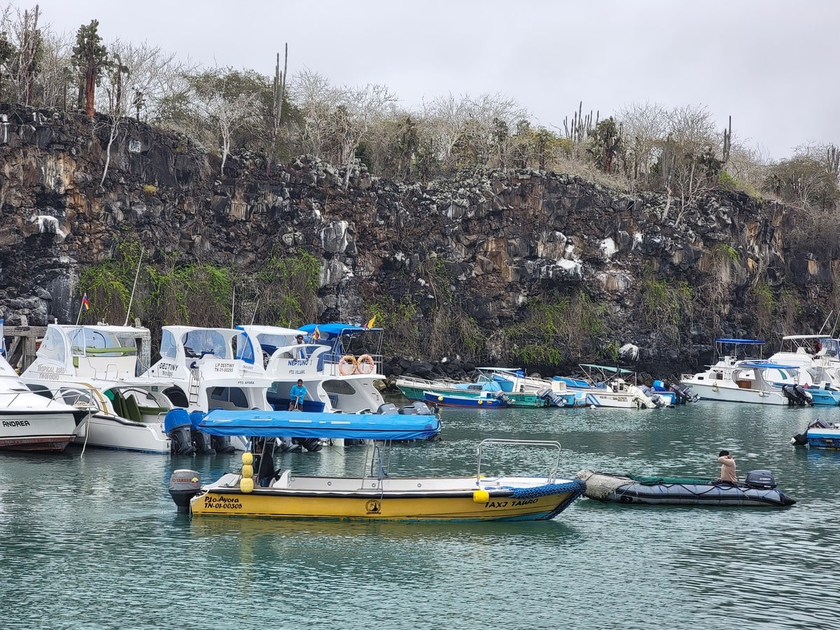 Bateaux-taxis pour prendre les ferries entre les îles des Galapagos dans notre article Voyage aux Galápagos : Comment organiser un voyage dans l'Archipel des Galápagos #Galapagos #Equateur #VoyageGalapagos #ArchipelGalapagos