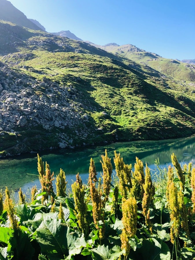 Lac du Lou dans notre article 7 jours de randonnée sur le Grand Tour de la Tarentaise dans les Alpes françaises #Tarentaise #Grandtourtarentaise #Alpes #France #Randonnée