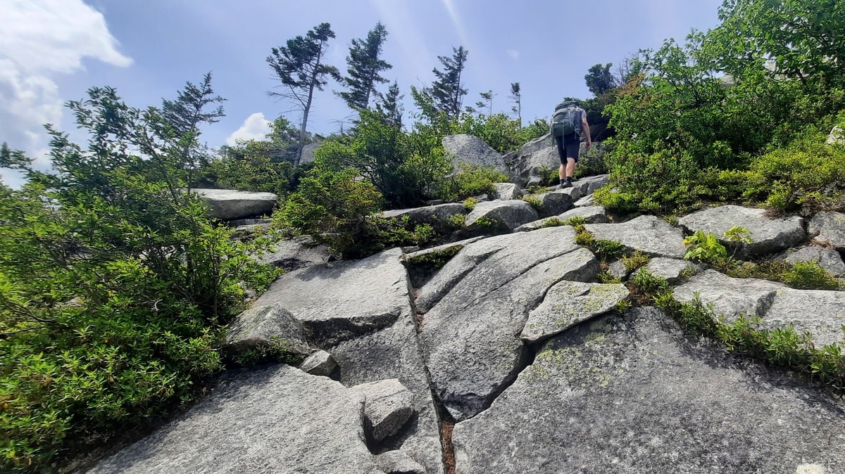 Sentier Baldface Circle dans les White Mountains dans notre article White Mountains au New Hampshire : 5 randonnées à faire dans les Montagnes Blanches #MontagnesBlanches #Randonnée #NewHampshire #ÉtatsUnis 