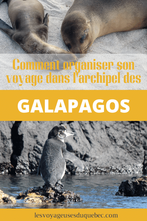 Voyage aux Galápagos : Comment organiser un voyage dans l'Archipel des Galápagos #Galapagos #Equateur #VoyageGalapagos #ArchipelGalapagos