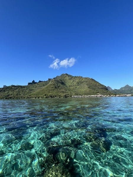 Lagon bleu à Moorea dans notre article Îles de Polynésie française : que faire à Huahine, Raiatea et Moorea hors des sentiers battus #Polynésiefrançaise #ÎlesPolynésie #Huahine #Raietea #Moorea 