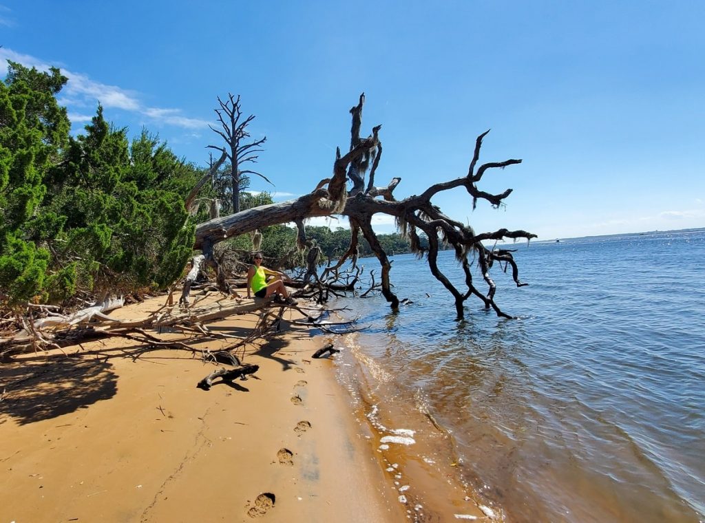 Plage réserve Guana Tolomato Matanzas dans notre article Visiter St Augustine en Floride : Nos bonnes adresses et que faire lors d’un séjour #StAugustine #Floride #ÉtatsUnis #SaintAugustine #USA