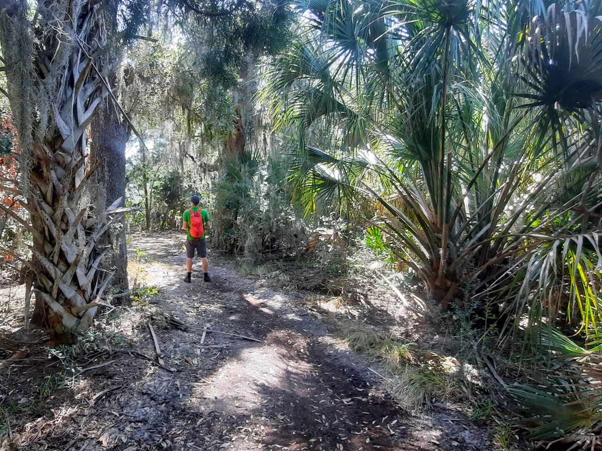 Nature réserve Guana Tolomato Matanzas dans notre article Visiter St Augustine en Floride : Nos bonnes adresses et que faire lors d’un séjour #StAugustine #Floride #ÉtatsUnis #SaintAugustine #USA