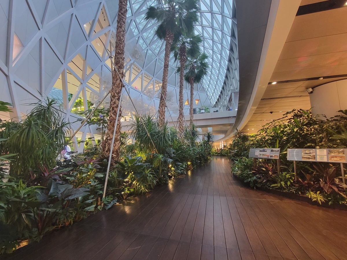 Arbres à l'aéroport Changi à Singapour dans notre article Visiter Singapour : découvrir les atouts de cette ville durable entre technologie et environnement #Singapour #VisiterSingapour #Asie #AsieSudEst #Durable 