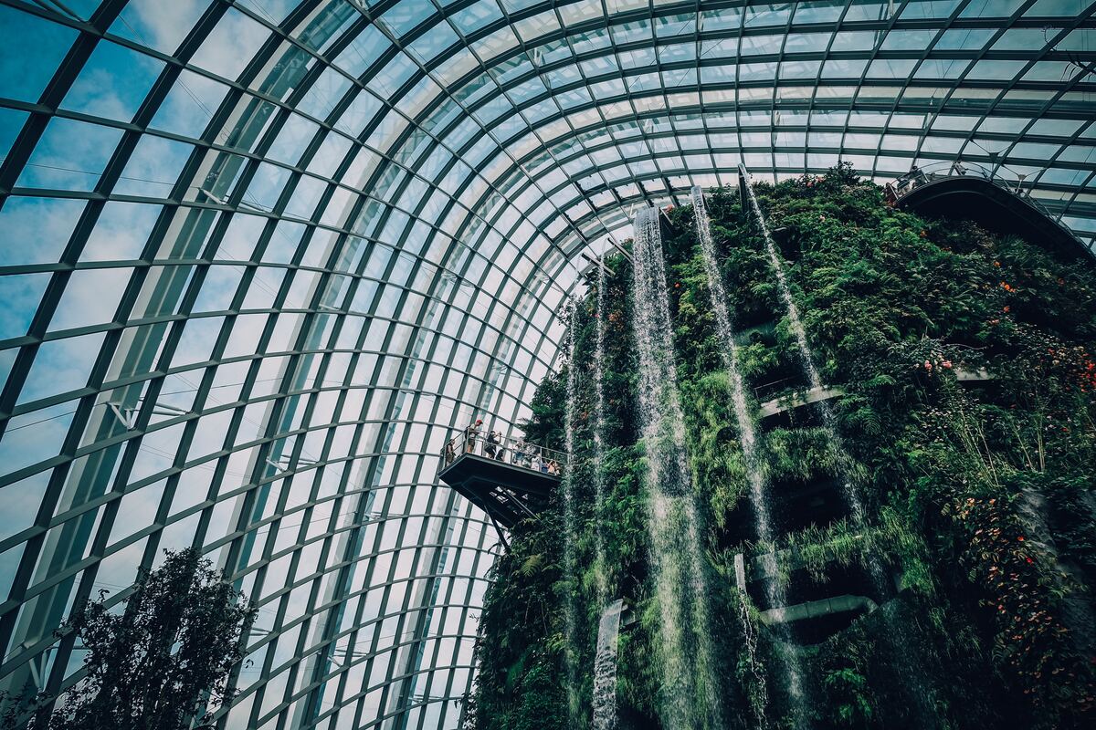 Dôme Cloud Forest à Singapour dans notre article Visiter Singapour : découvrir les atouts de cette ville durable entre technologie et environnement #Singapour #VisiterSingapour #Asie #AsieSudEst #Durable 