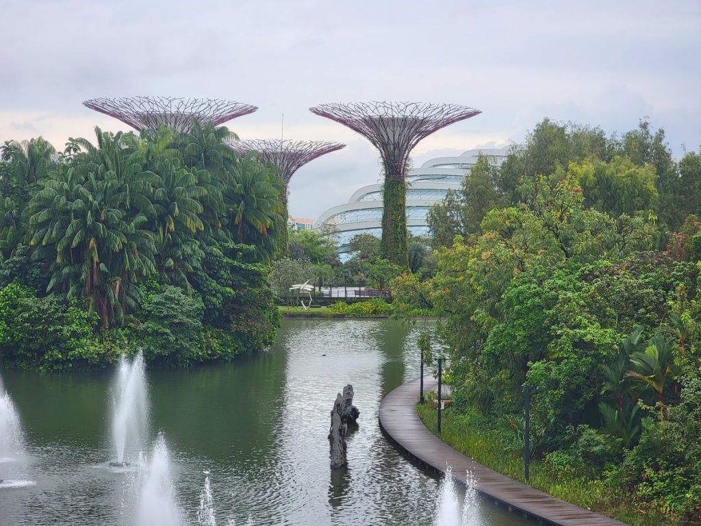 Gardens by the Bay Singapour dans notre article Visiter Singapour : découvrir les atouts de cette ville durable entre technologie et environnement #Singapour #VisiterSingapour #Asie #AsieSudEst #Durable 
