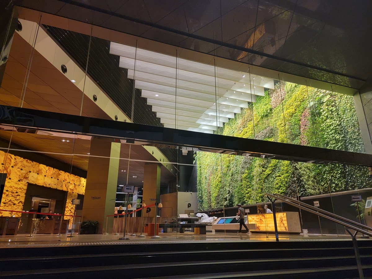 Mur de verdure à Singapour dans notre article Visiter Singapour : découvrir les atouts de cette ville durable entre technologie et environnement #Singapour #VisiterSingapour #Asie #AsieSudEst #Durable 