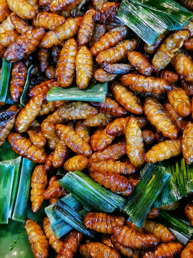 Insectes marché Chiang Mai dans notre article Visiter Chiang Mai en 10 incontournables : que voir et que faire à Chiang Mai en Thaïlande #ChiangMai #Thaïlande #AsieduSudEst #NordThailande #VisiterChiangMai
