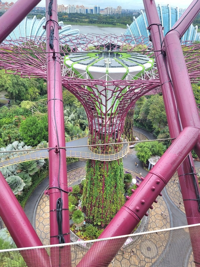 Super-arbre vue en hauteur à Singapour dans notre article Visiter Singapour : découvrir les atouts de cette ville durable entre technologie et environnement #Singapour #VisiterSingapour #Asie #AsieSudEst #Durable 