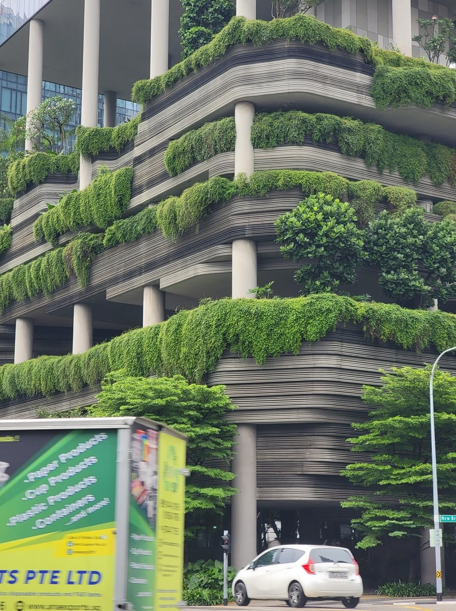 Verdure dans les rues de Singapour dans notre article Visiter Singapour : découvrir les atouts de cette ville durable entre technologie et environnement #Singapour #VisiterSingapour #Asie #AsieSudEst #Durable 
