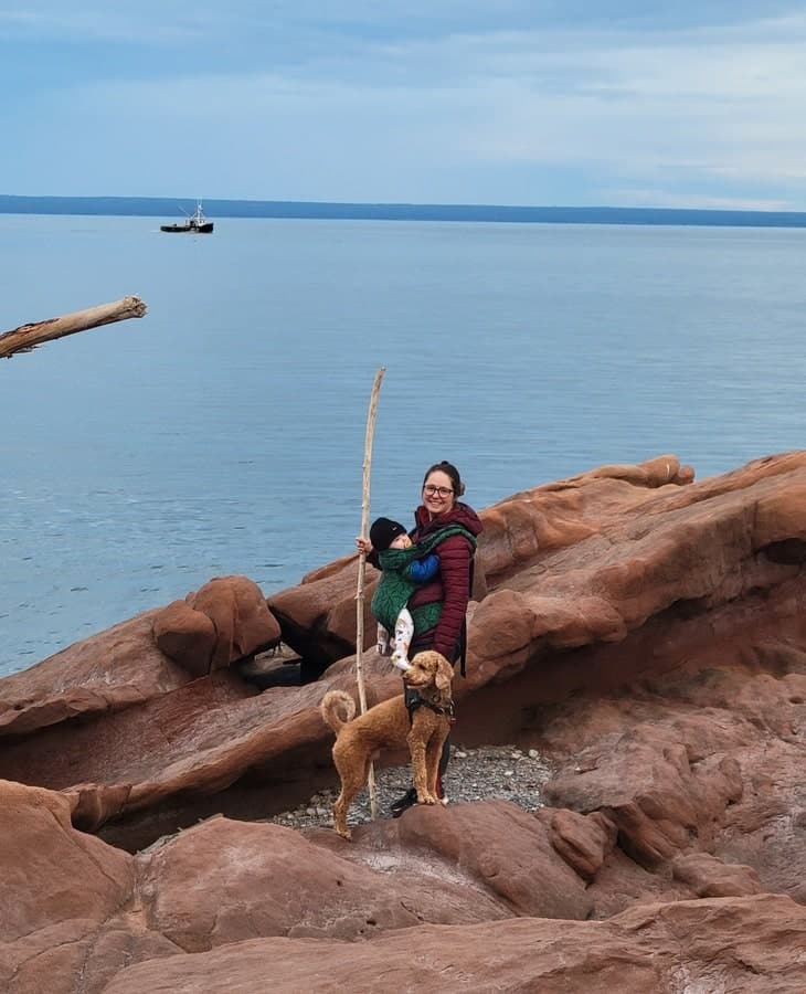 Parc provincial du Cape Chignecto dans notre article Road trip en Nouvelle-Écosse avec son chien : que faire et où aller #NouvelleÉcosse #Roadtrip #RoadtripNouvelleÉcosse  #RoadtripChien #VoyageChien