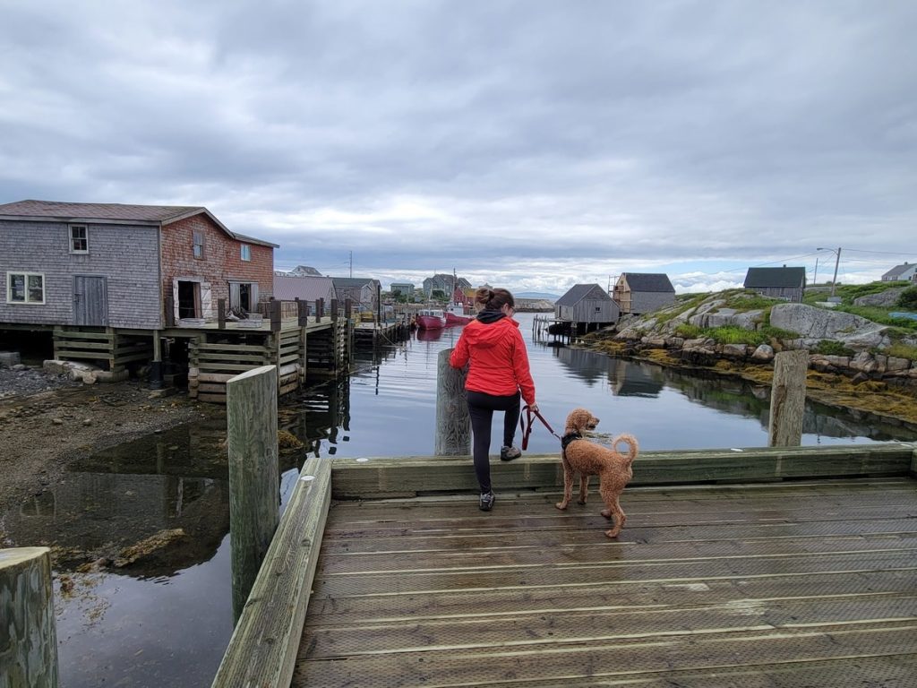 Road trip avec son chien dans notre article Road trip en Nouvelle-Écosse avec son chien : que faire et où aller #NouvelleÉcosse #Roadtrip #RoadtripNouvelleÉcosse  #RoadtripChien #VoyageChien