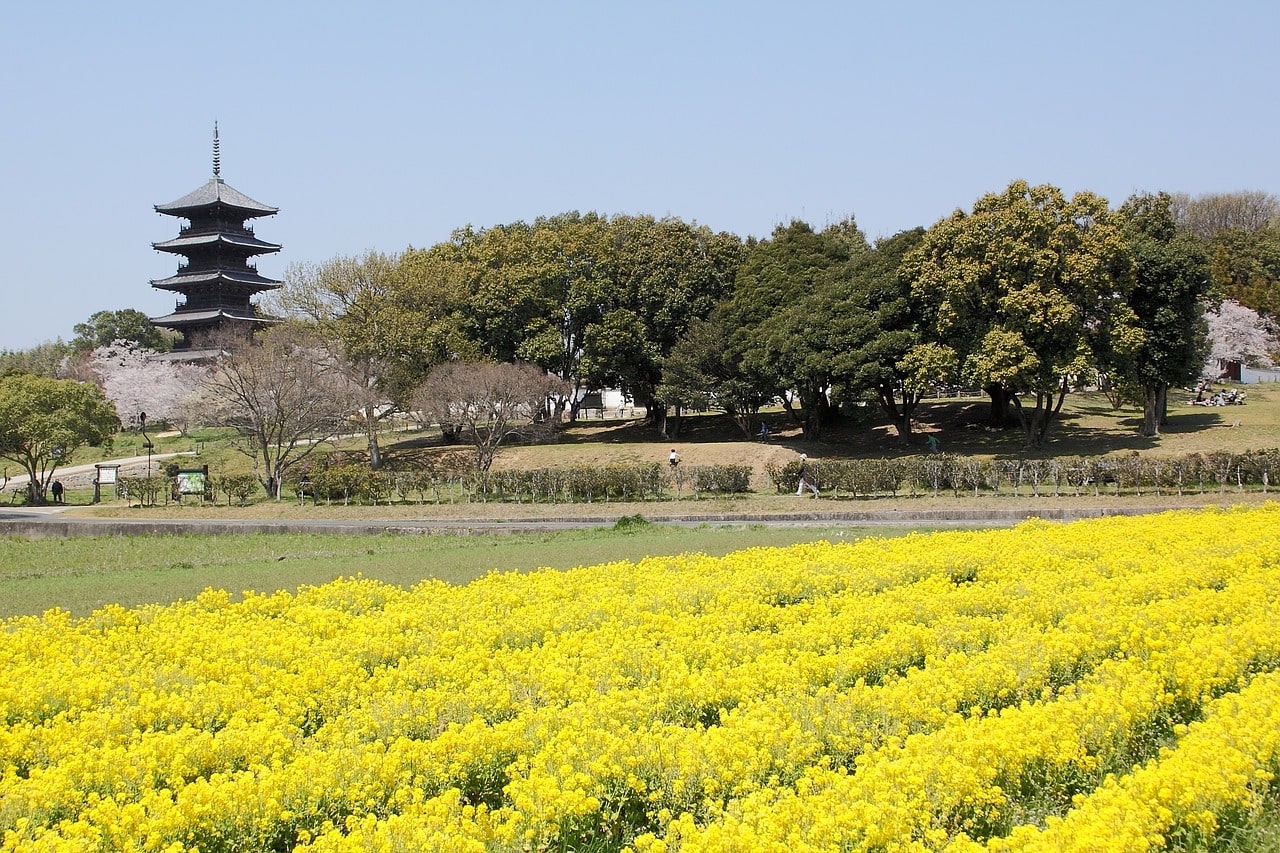 Piste cyclable de Kibiji à Okayama dans notre article Visiter le Sud du Japon : itinéraire à travers 7 villes incontournables au sud de Kobe #SudJapon #Japon #Asie #Voyage #ItinéraireJapon 