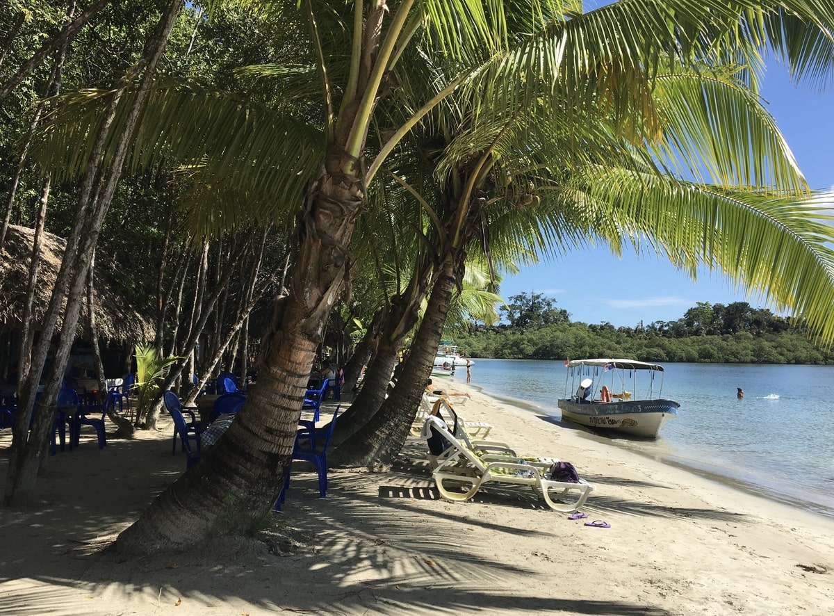Playa Estrella à Bocas Del Toro au Panama dans notre article Visiter Bocas del Toro au Panama : 12 incontournables à faire sur les îles #BocasDelToro #Panama #VisiterPanama #Iles #AmeriqueCentrale
