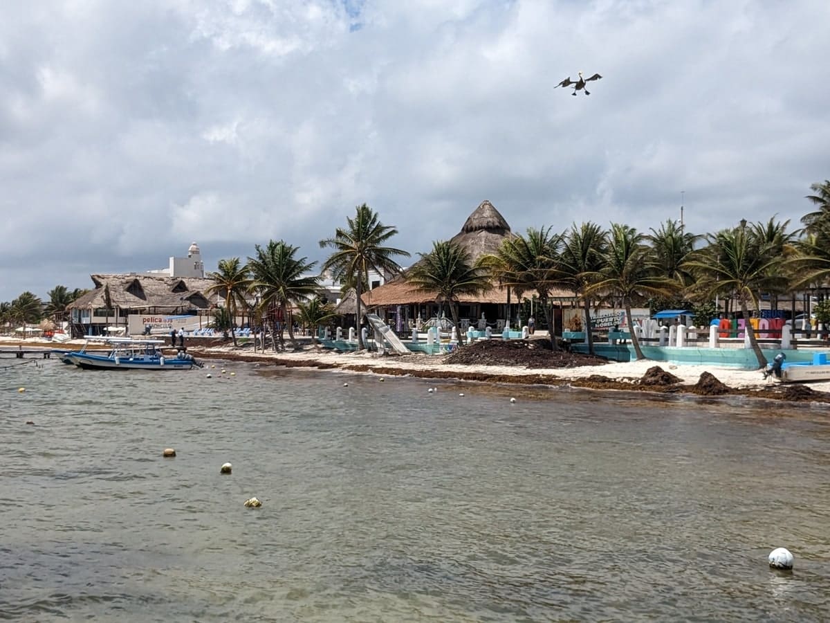 Plage de Puerto Morelos sur la Riviera Maya au Mexique dans notre article Voyager sur la Riviera Maya autrement : vivre la Riviera Maya au Mexique loin du tourisme de masse #RivieraMaya #Mexique #MexiqueAutrement #AmériqueLatine #Mexico