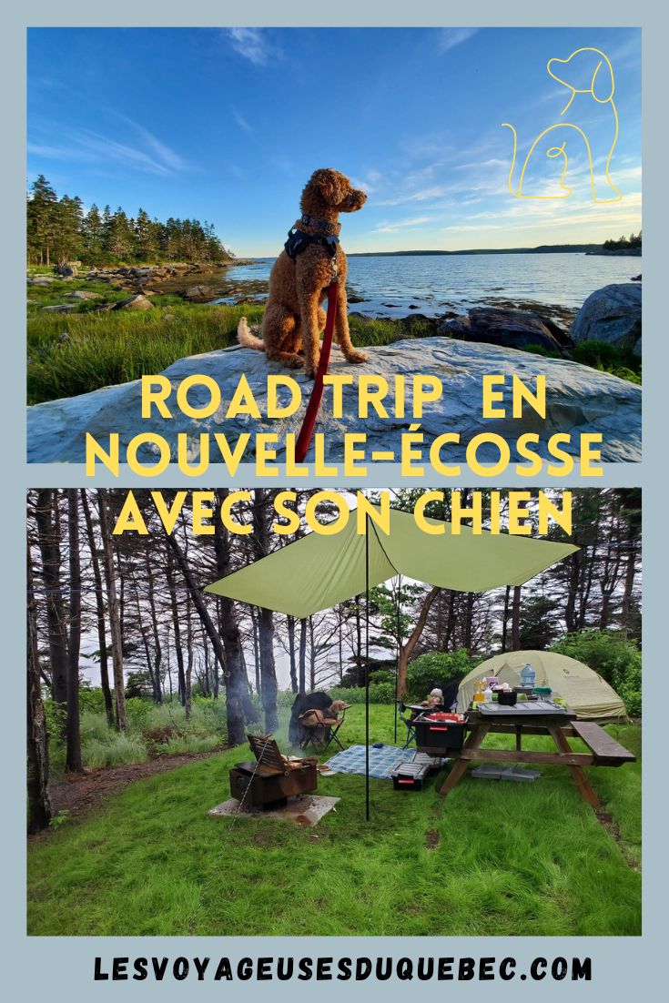 Road trip en Nouvelle-Écosse avec son chien : que faire et où aller #NouvelleÉcosse #Roadtrip #RoadtripNouvelleÉcosse  #RoadtripChien #VoyageChien